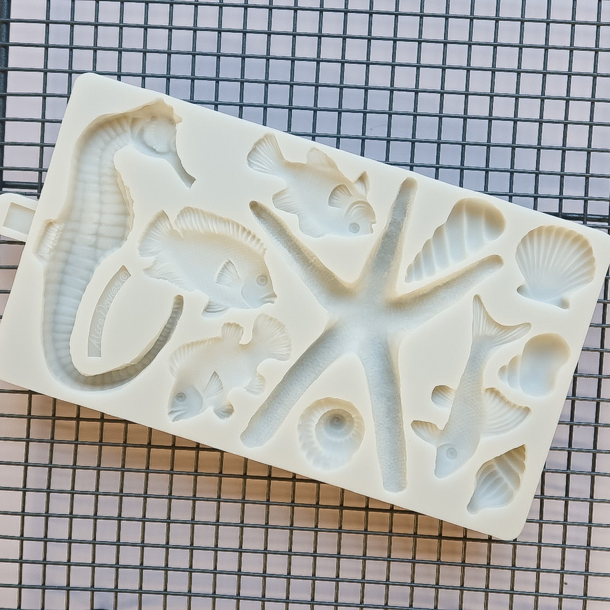 Underwater Theme Silicone Mould